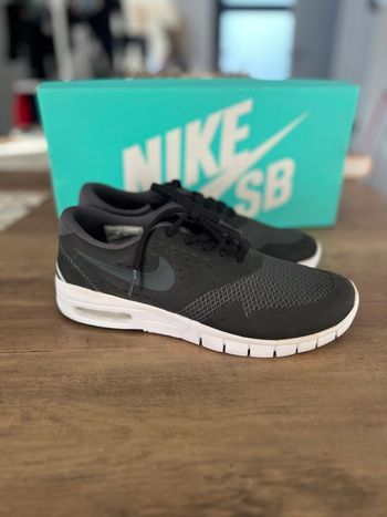 Nike Eric koston 2 Max