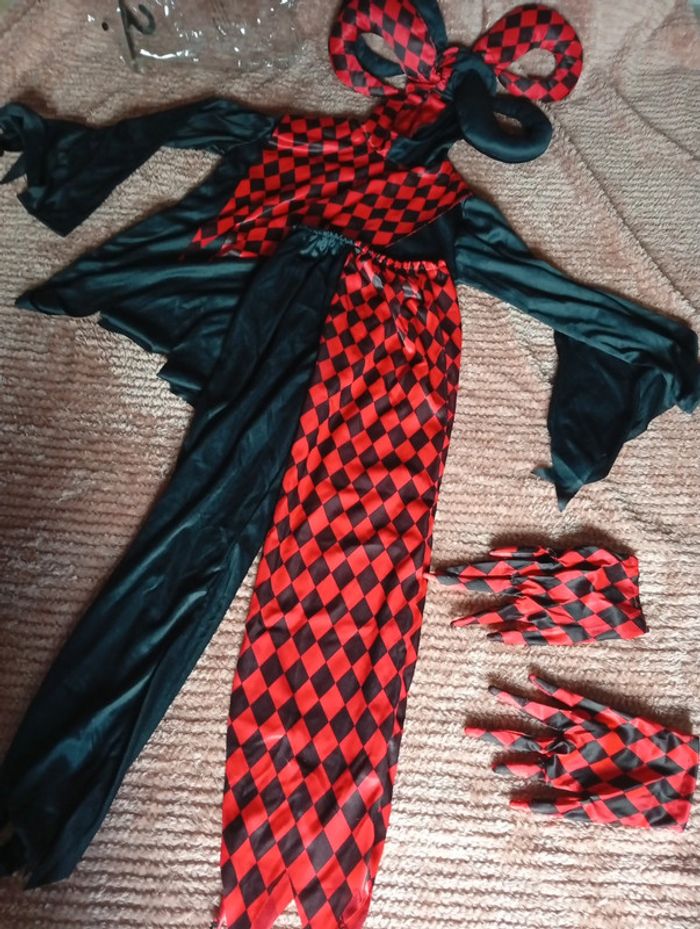 Déguisement arlequin