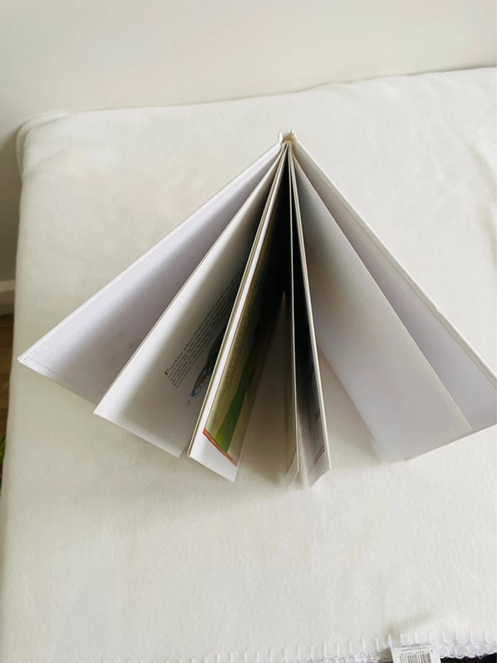 🐢 Livre Franklin. - photo numéro 8