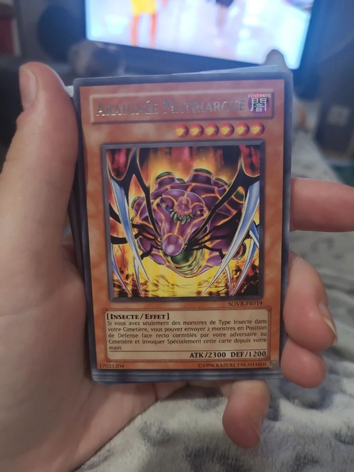 Carte araignée matriarche