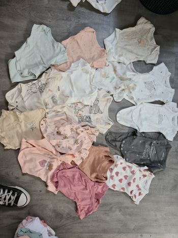 16 bodies manches courtes