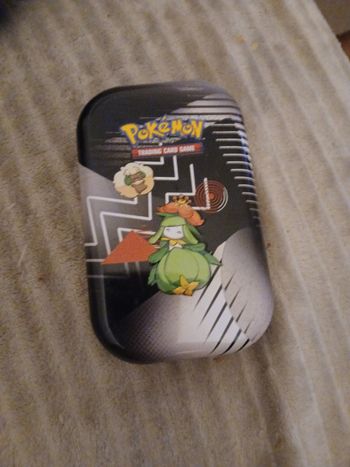 Boîte métallique pokemon