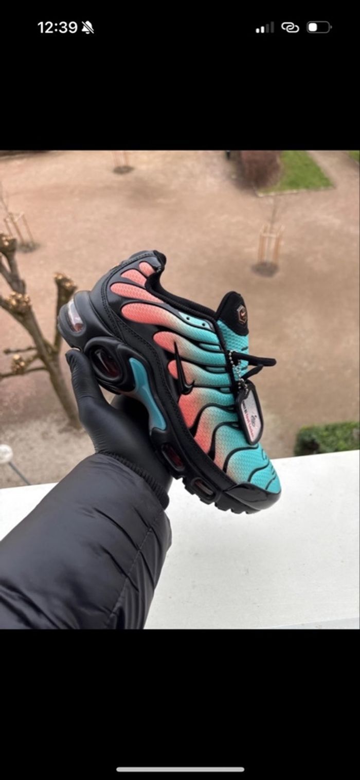 nike tn miami - photo numéro 3