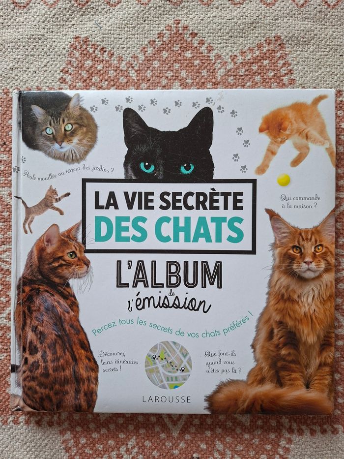 La vie secrète des chats