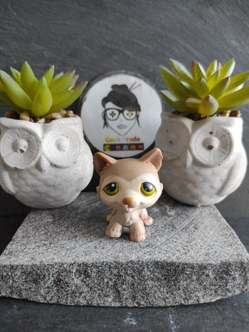 My Littlest Petshop Pet Shop LPS chien husky 358 dog #geektradelpschien