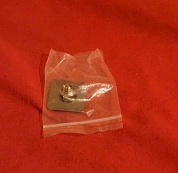 Pin's secours catholique - photo numéro 4