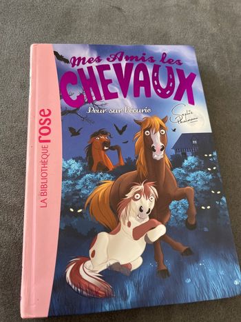 Livre bibliothèque rose mes amis les chevaux tome 11