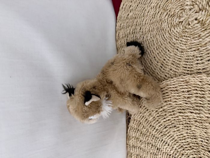 Peluche chat sauvage lynx DANI - photo numéro 3