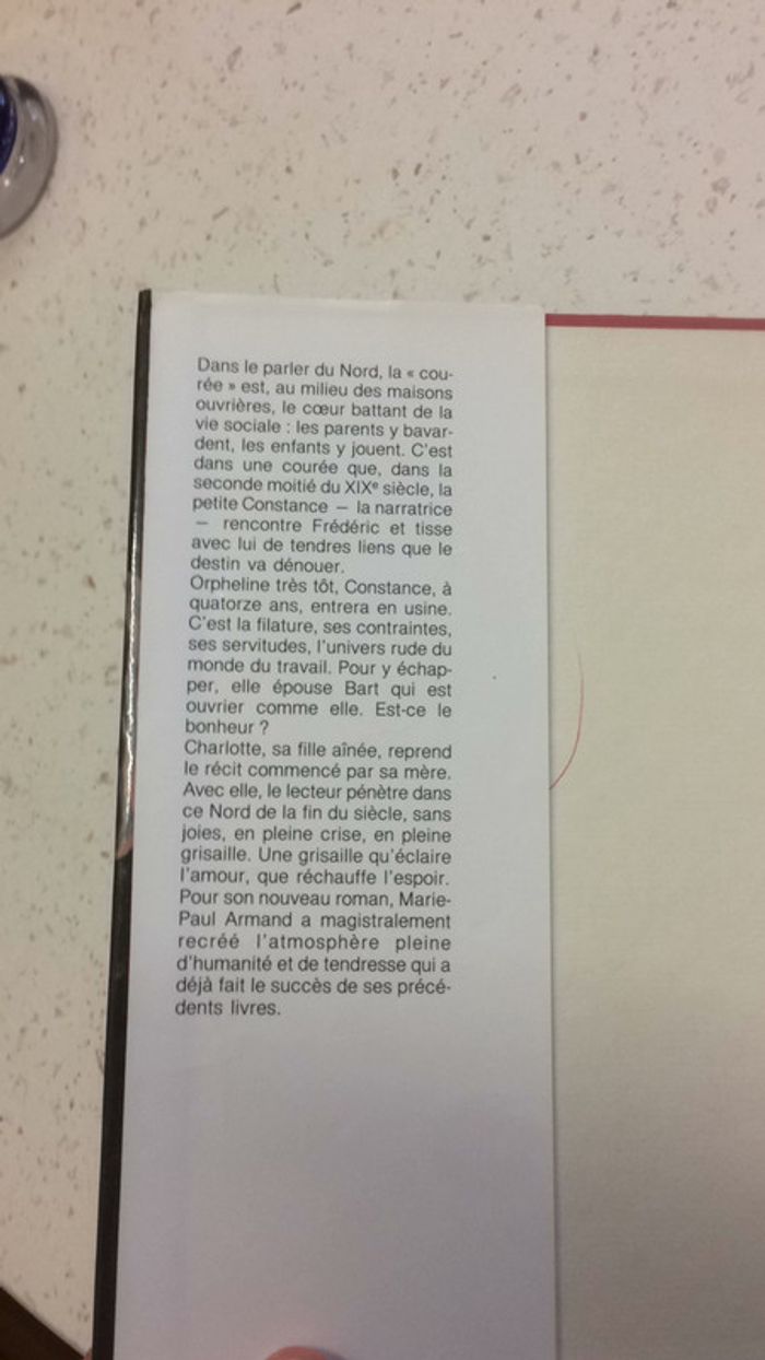 La courée (tomes 1 - 2 - 3) - photo numéro 3