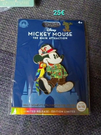 Pins Disney mickey