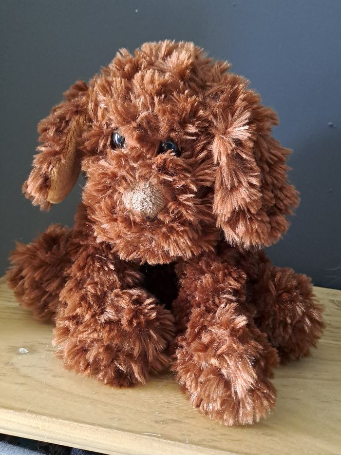 Chien brun toux doux - photo numéro 3