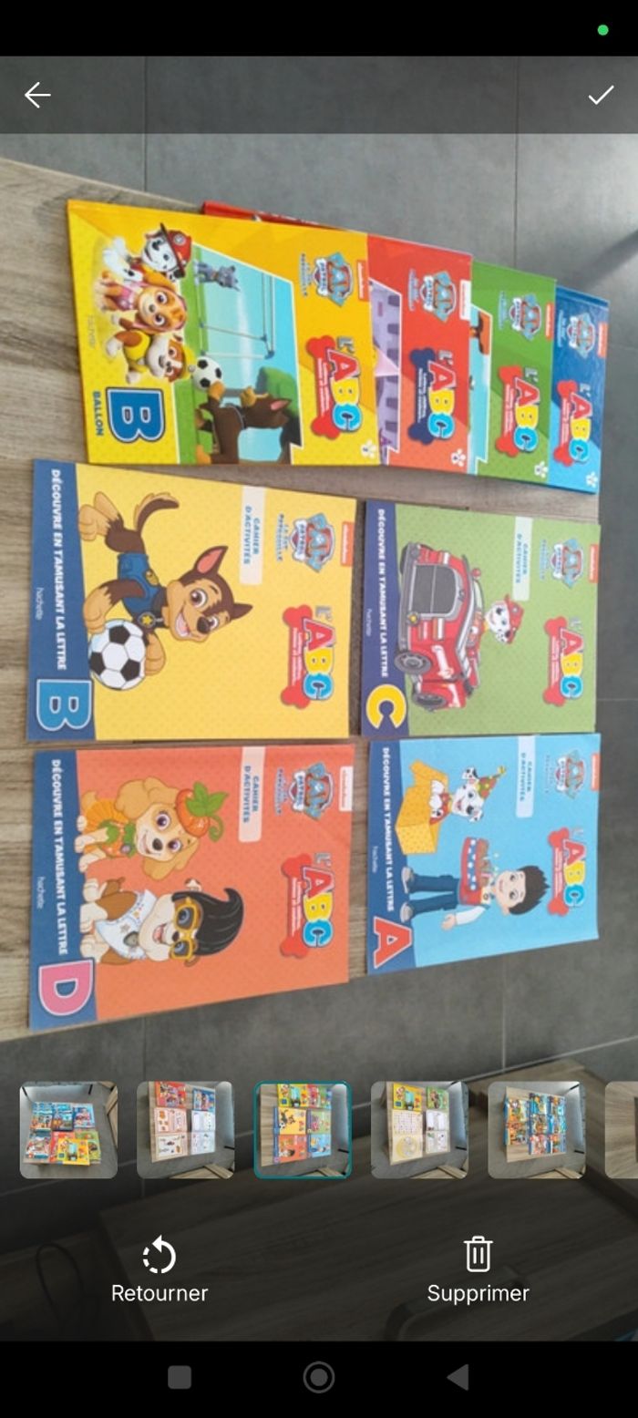 Lot livres  pat patrouille - photo numéro 5