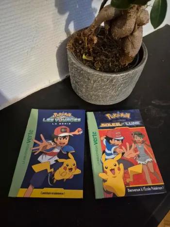 Lot 2 livres Pokémon