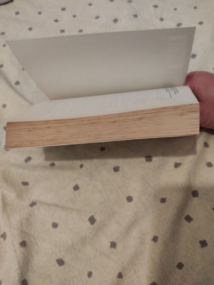 Dictionnaire des difficultés de la langue française - photo numéro 4