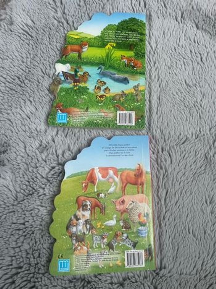 Lot de 2 livres sur la campagne (Trifora) - photo numéro 7