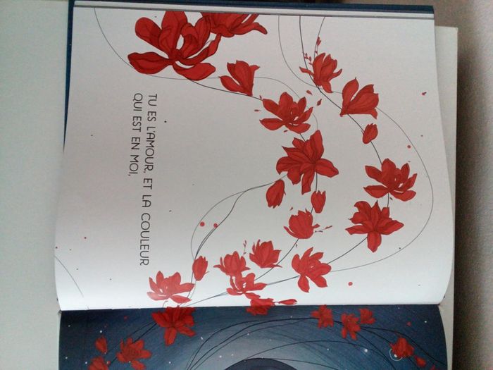 Lune ronde - photo numéro 4