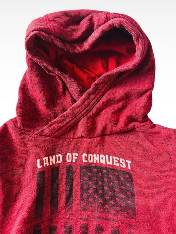 Sweat capuche 6 ans - photo numéro 3