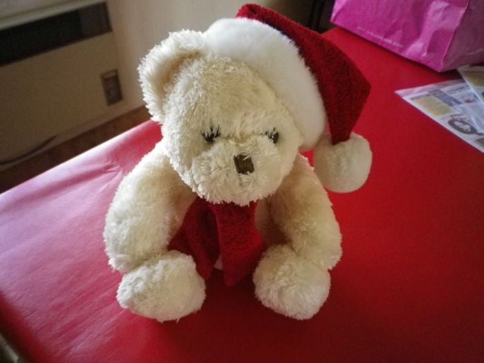 PELUCHE OURSON