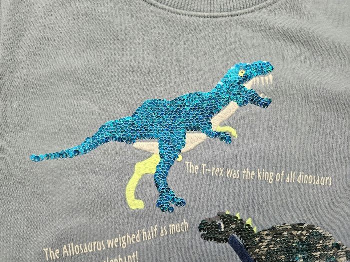 Sweat bleu ciel dinausore H&M 5 ans - photo numéro 7