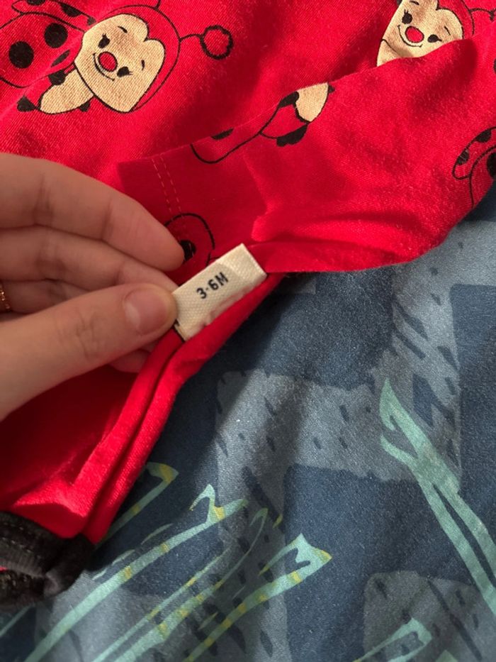 Bodie mixte coccinelle - photo numéro 3