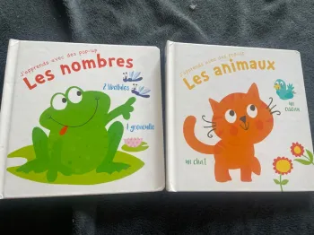 2 livres pop up