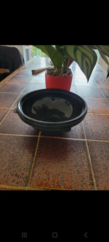 Lot 1 saladier plastique 1.5 litres