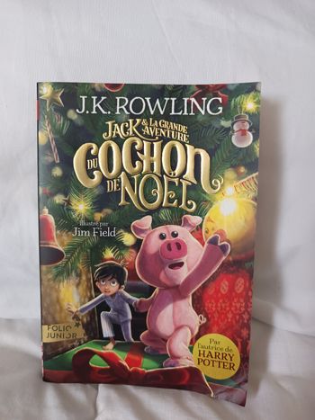 Livre Cochon de Noël