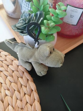 Porte clés Péluche crocodile 🌿🌈