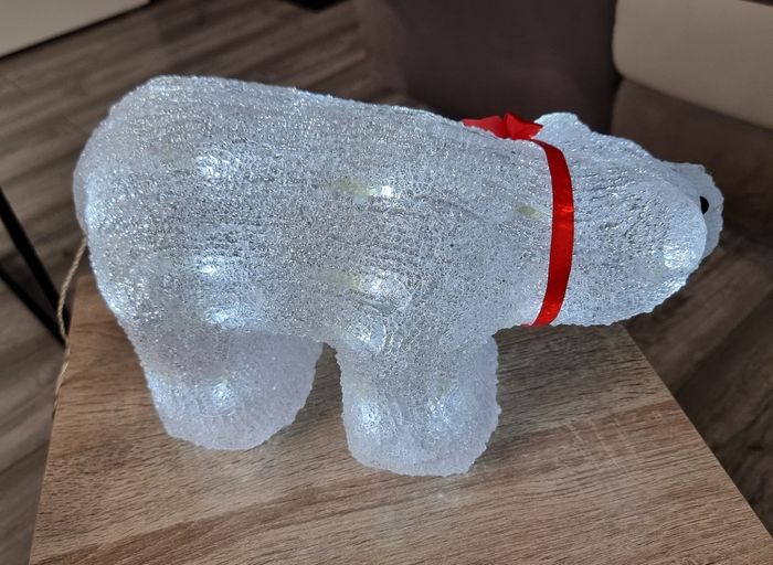 Ours lumineux - photo numéro 2