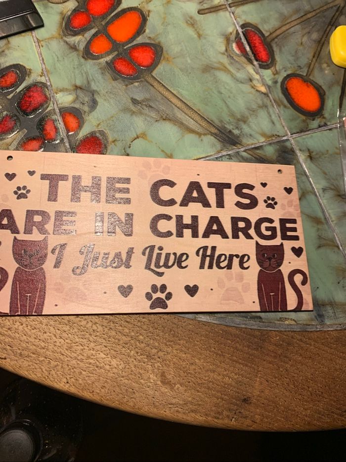Pancarte chats - photo numéro 5