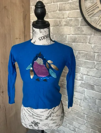 Pull taille 8 ans