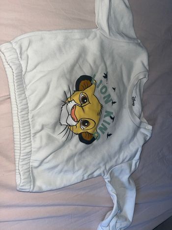 Ensemble Disney