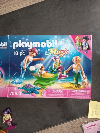 Playmobil Magic 70100