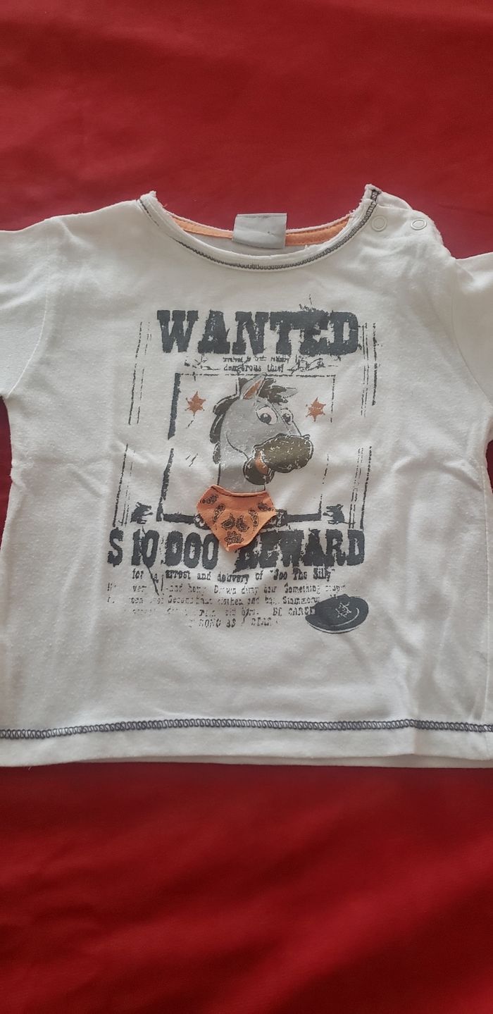 Lot de 5 Tee-shirts T 12 mois - photo numéro 5