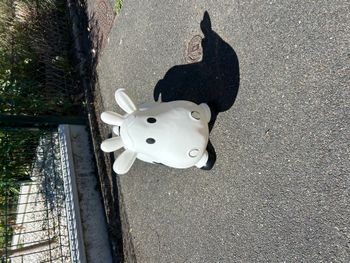 vache sauteur