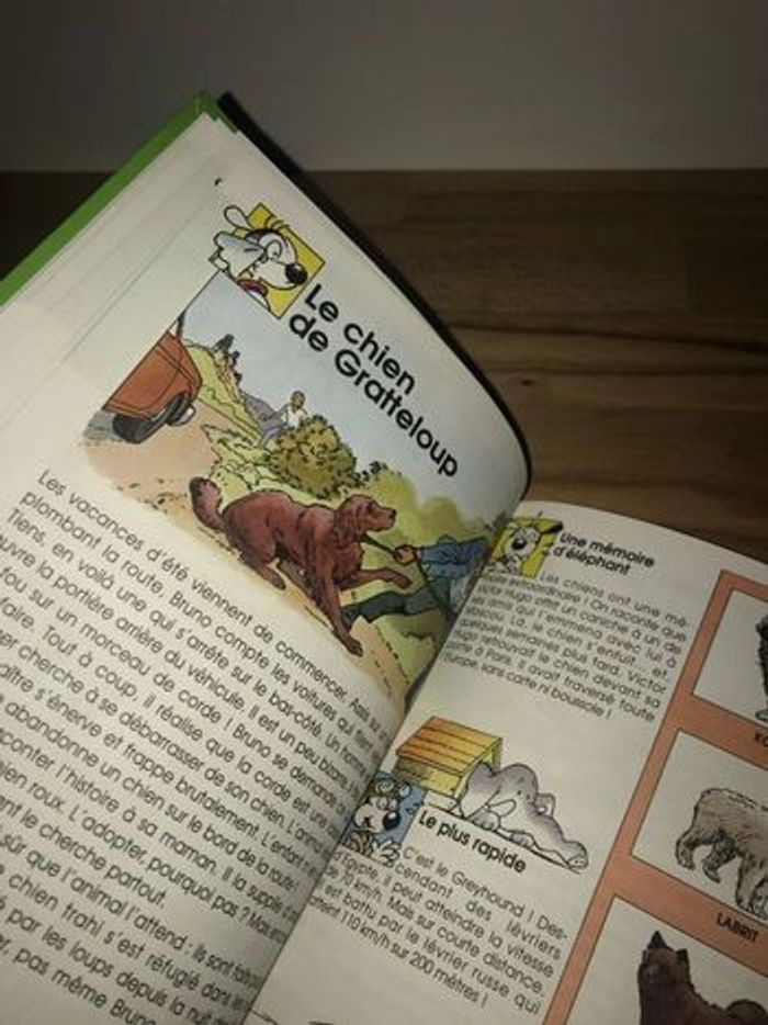 1991 livret mes carnets futés: le chien à partir de 9 ans - photo numéro 11