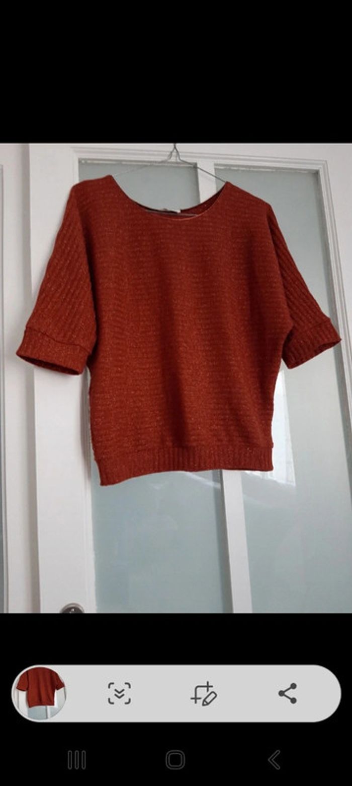 Pull rouille leger 40 - photo numéro 3