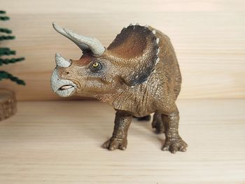 PAPO dinosaure Triceratops Figurine Animal préhistorique