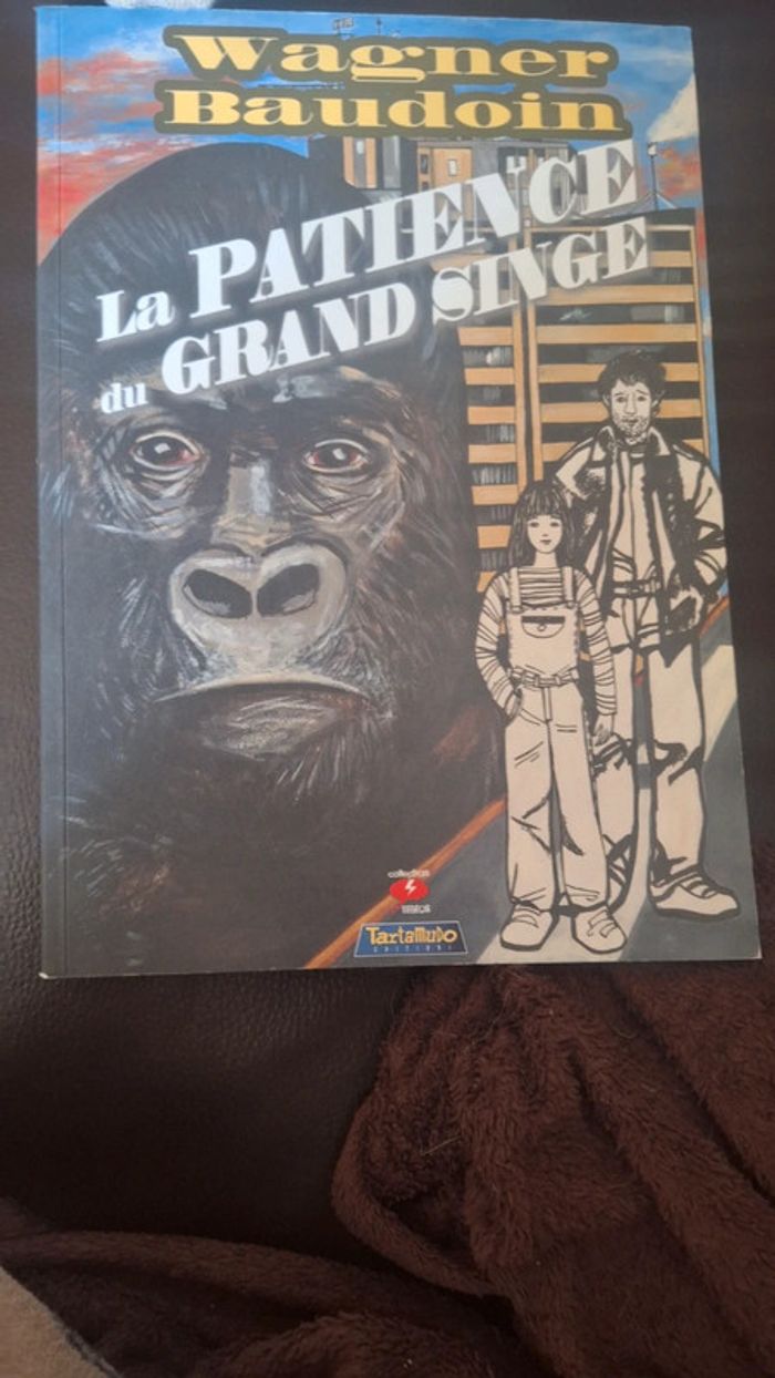 Livre patience du grand singe bd pl