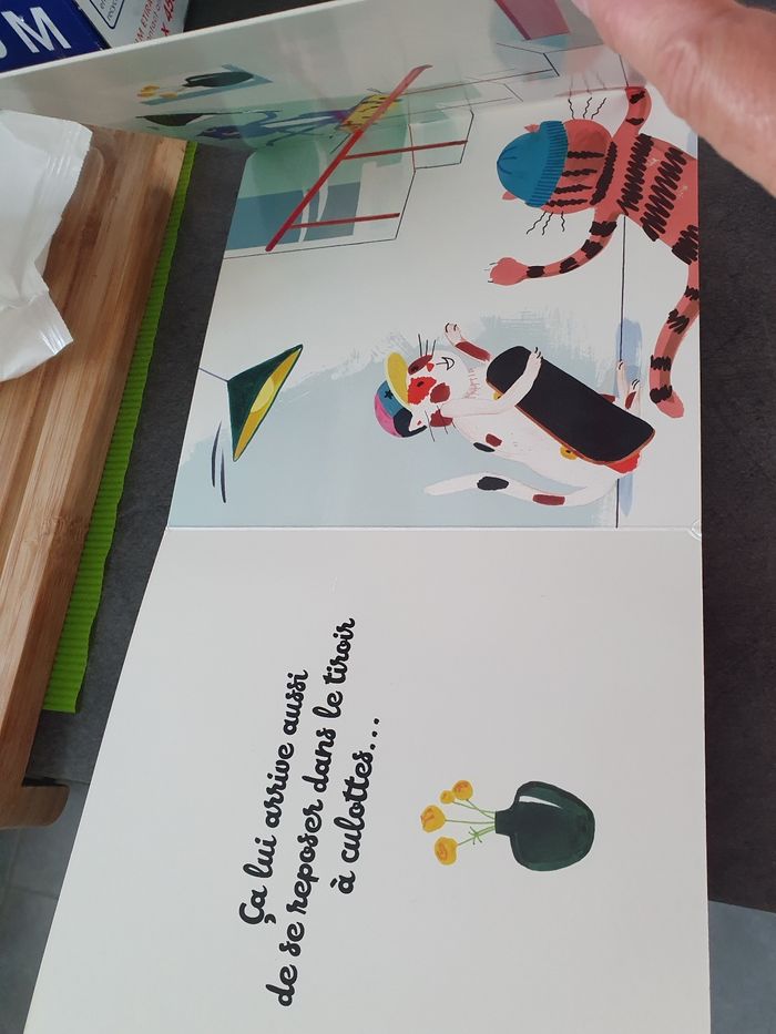 Livre neuf - photo numéro 6