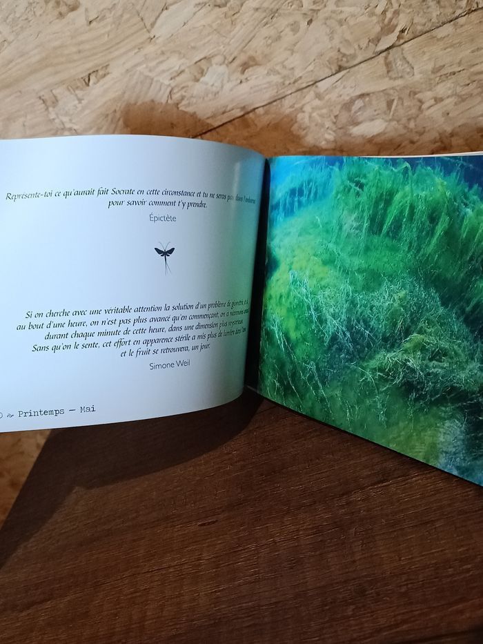 Livre "philosophies" - photo numéro 2
