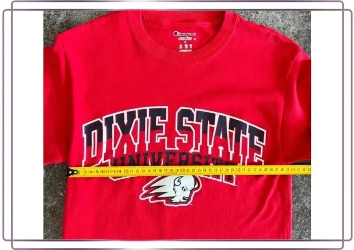 T shirt rouge homme Champion S Dixie University Men T-shirt Maglietta uomo Herren-T-Shirt - photo numéro 5