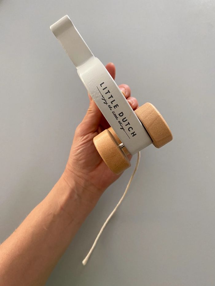 Ours à tirer - photo numéro 2