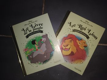 Lot deux livres "mes petits livres d'or "