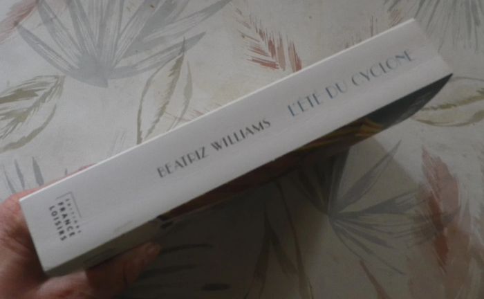 L'Eté du cyclone de Beatriz Williams Ed. France Loisirs - photo numéro 3