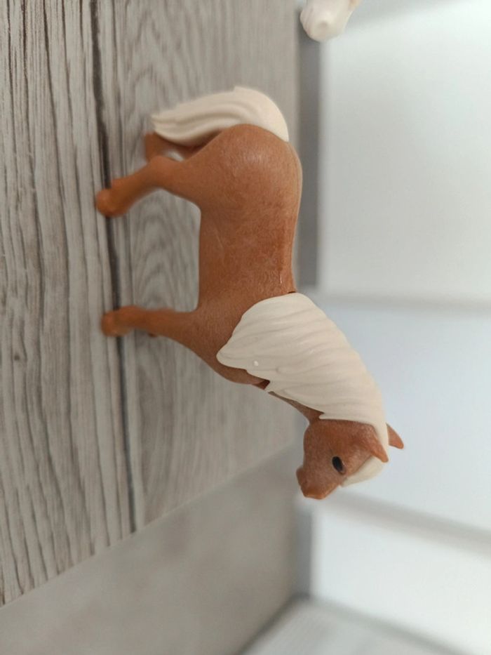 3 poulains playmobil cheval horses - photo numéro 6