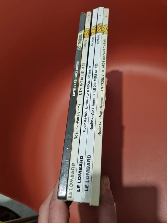 lot de Bd Thorgal Jean Van Hame et grzegorz Rosinski - photo numéro 18