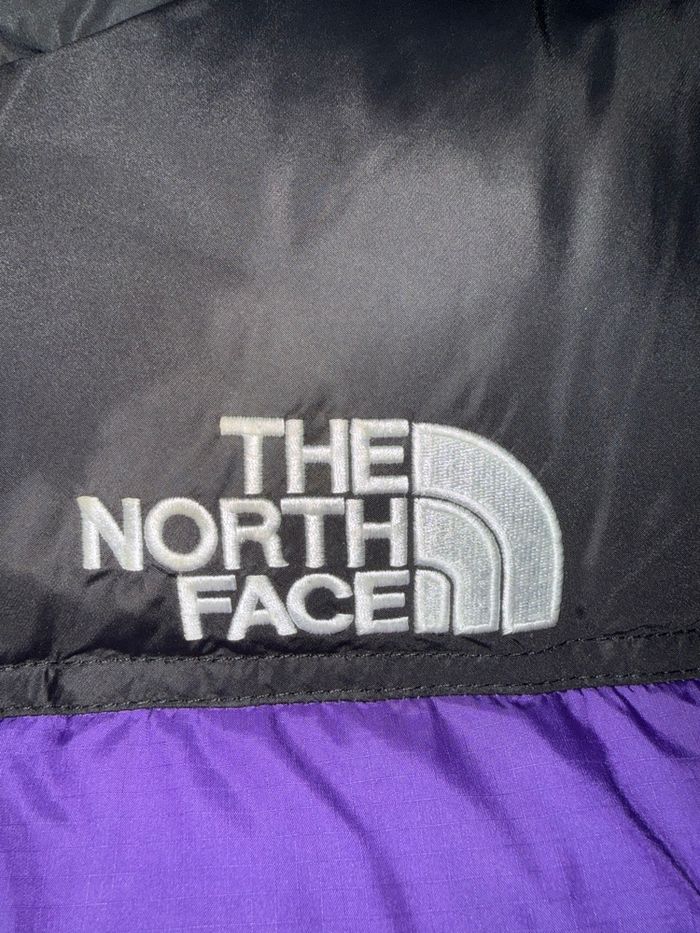 Doudoune TNF 700 - photo numéro 4