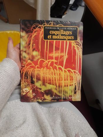 Grand livre illustré édition de lagora