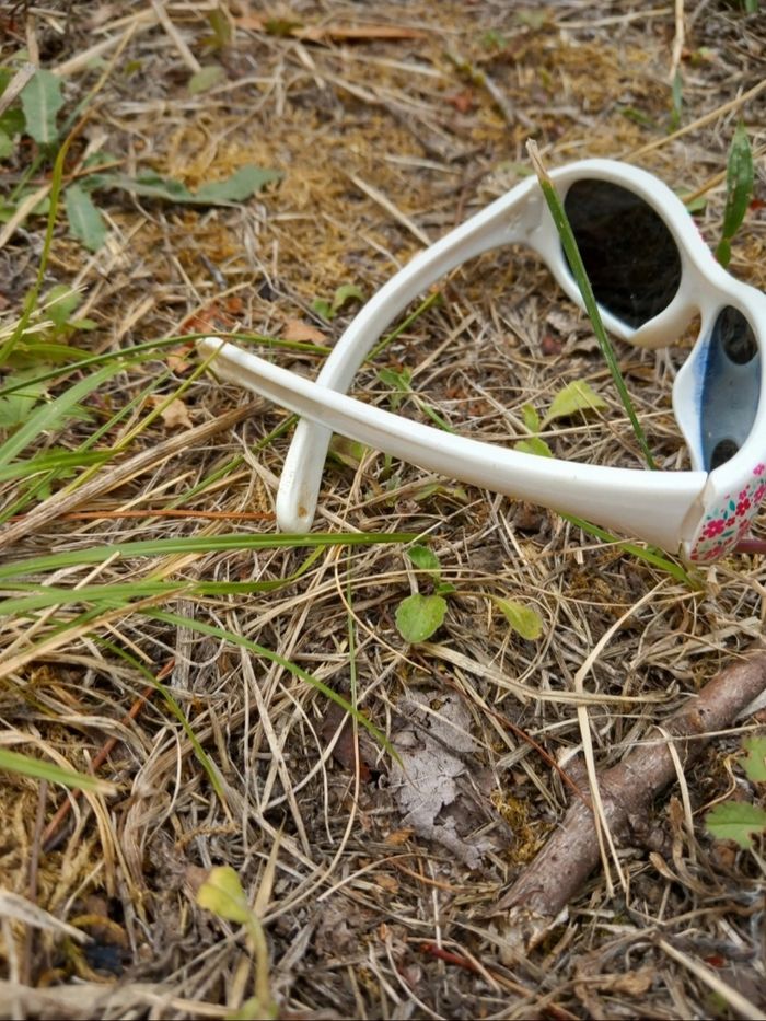 Lunettes fleuries - photo numéro 2